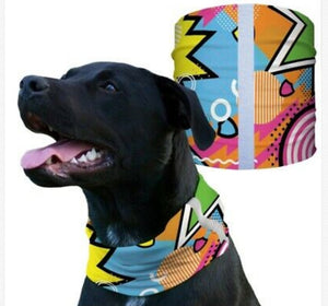 "KAPOW" Reflective Dog Shield