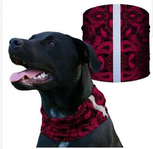 "RED PAISLEY" Reflective Dog Shield
