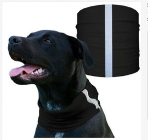"TACTICAL BLACK" Reflective Dog Shield