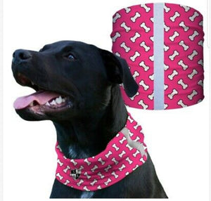 "PINK BONES" Reflective Dog Shield